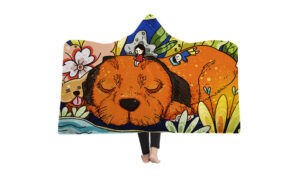 cartoon blanket (3)