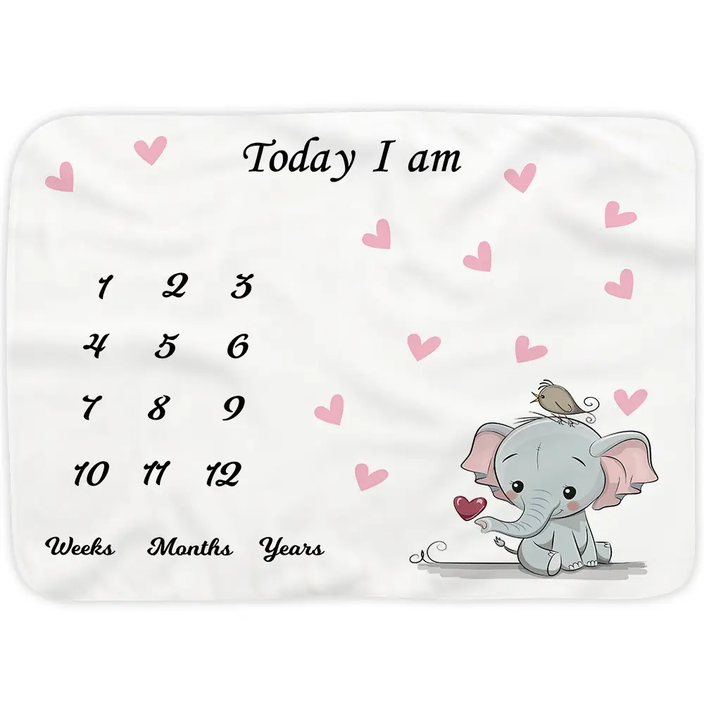 Baby Boy And Girl Milestone Blanket 4 Baby Boy And Girl Milestone Blanket 3
