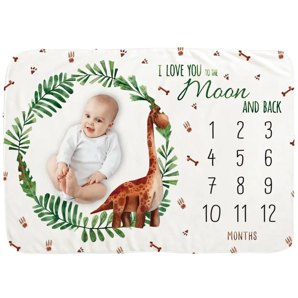 Dinosaur Baby MileStone Blanket 1