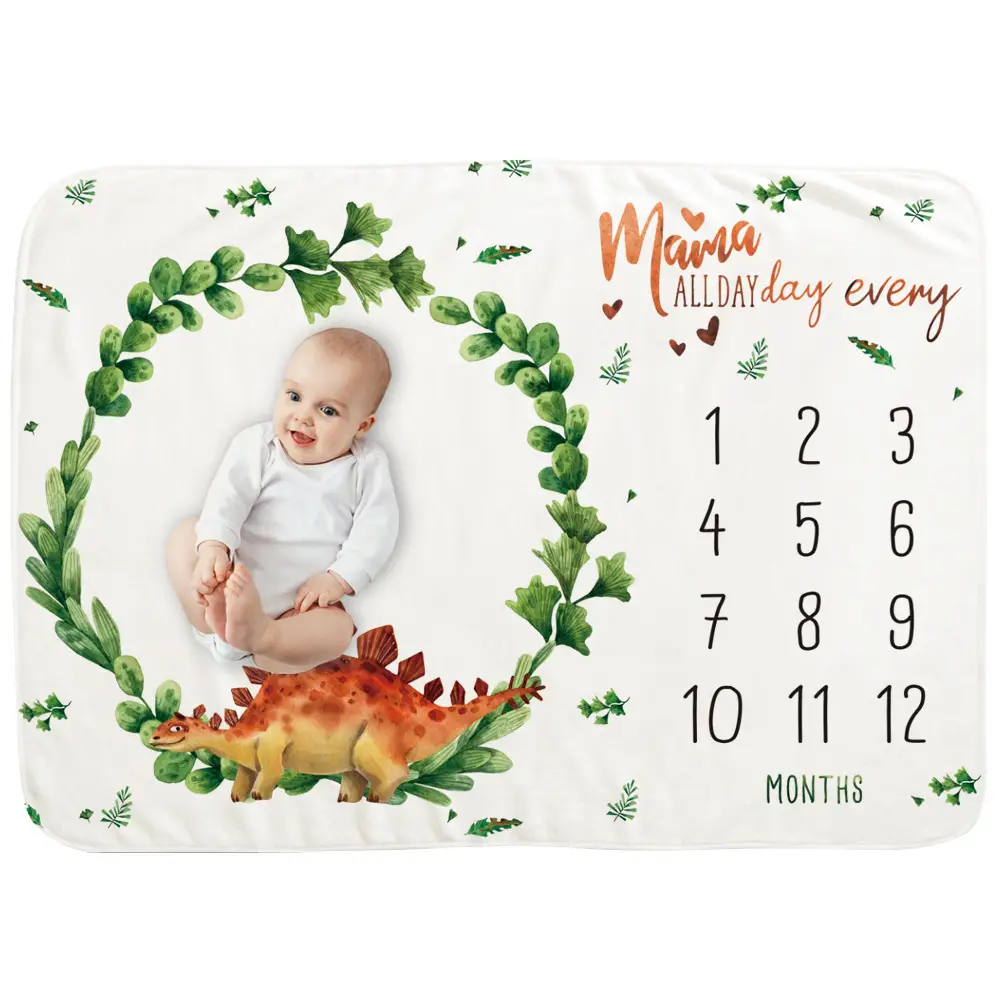 Dinosaur Baby MileStone Blanket 2