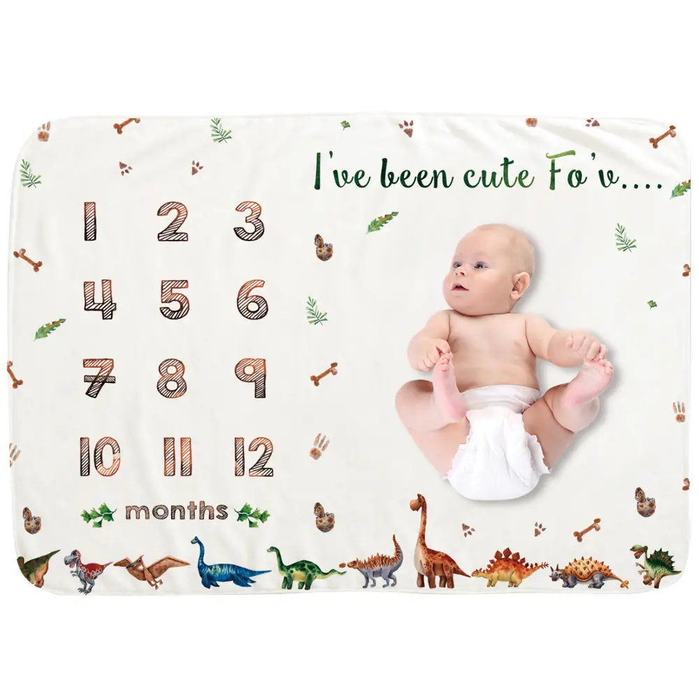 Dinosaur Baby MileStone Blanket 3