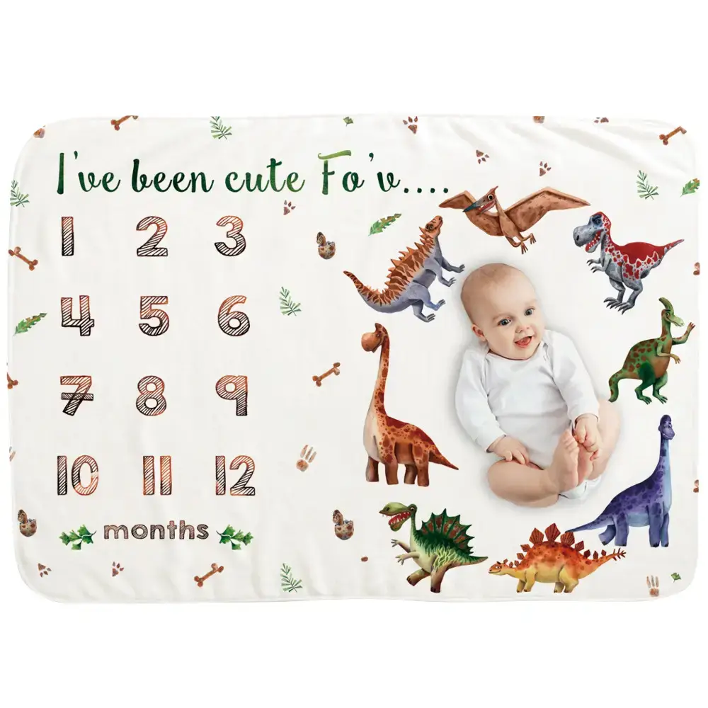 Dinosaur Baby MileStone Blanket 4