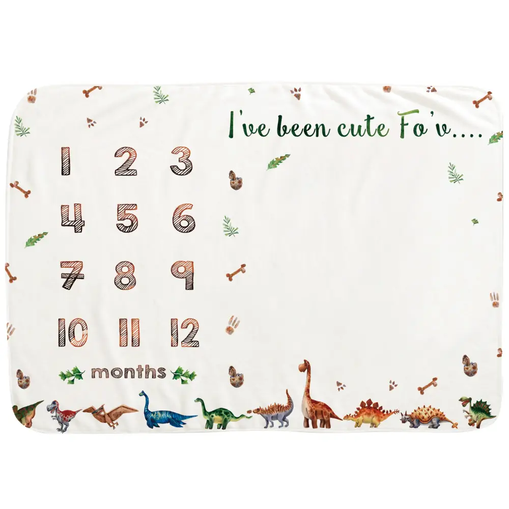 Dinosaur Baby MileStone Blanket 7