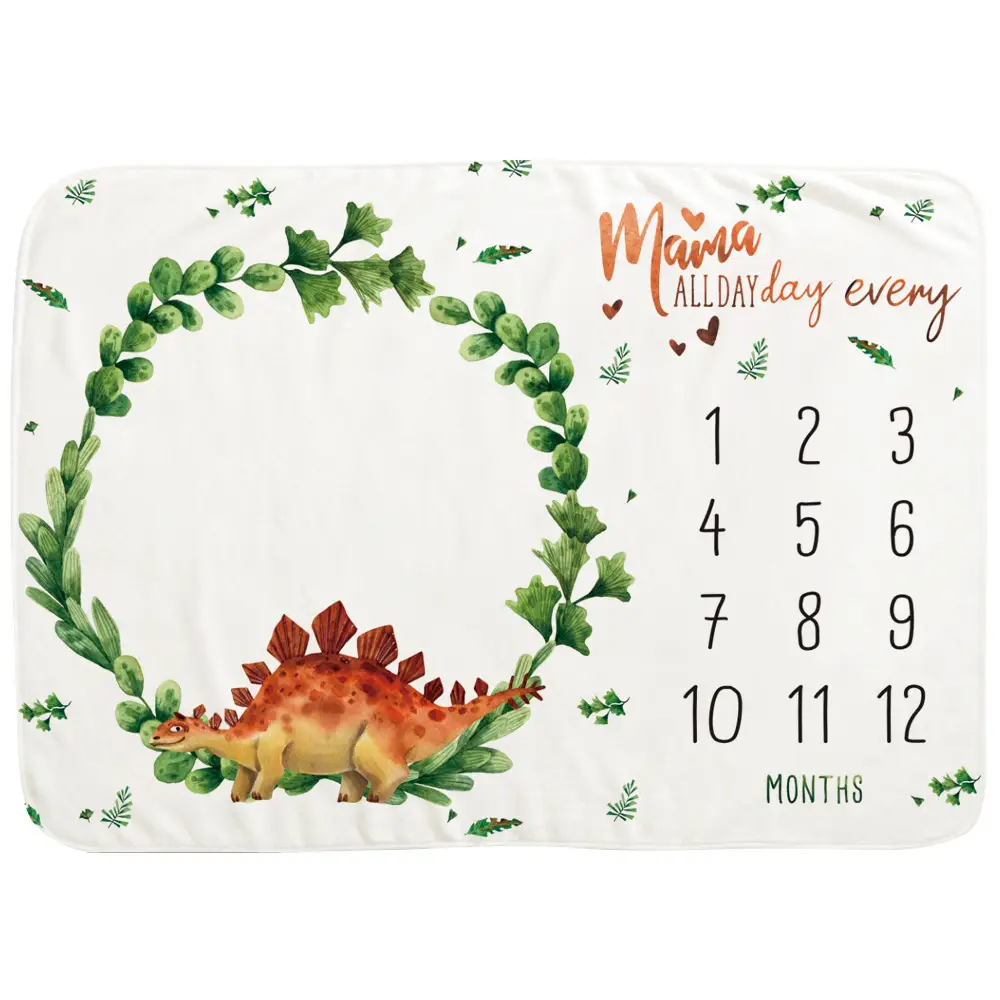 Dinosaur Baby MileStone Blanket 9