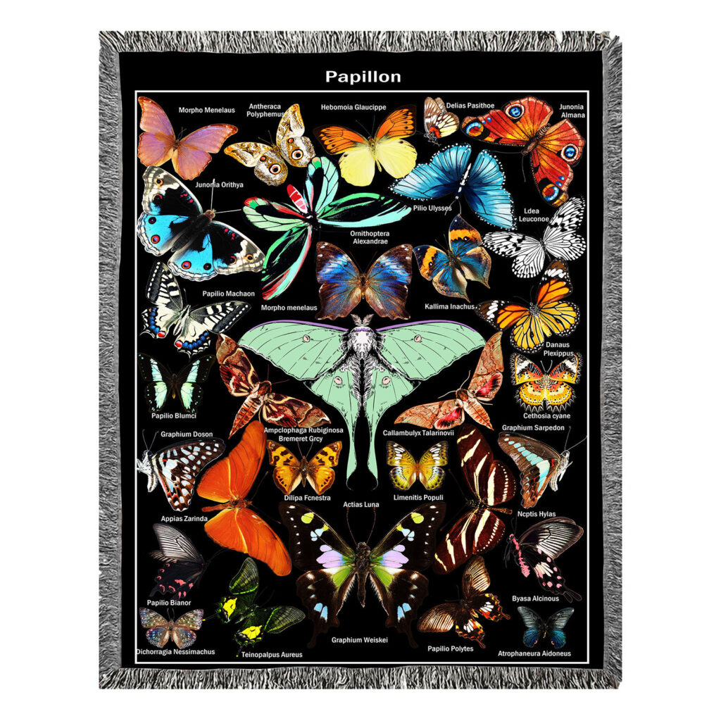 Dreamland Butterfly Flannel Throw Blanket 9