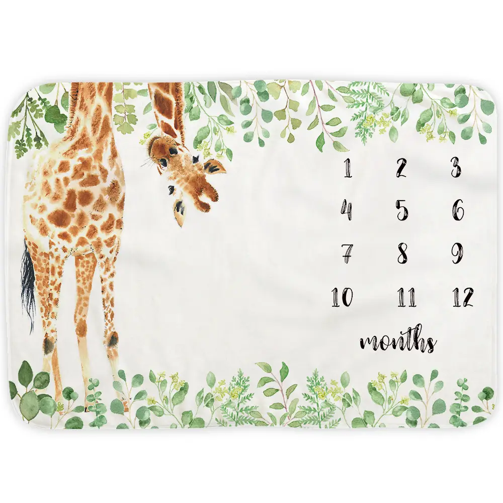 Flannel Baby Milestones By Month 6