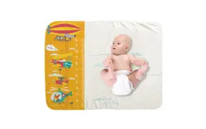 Lovely Background Baby Milestone Blanket