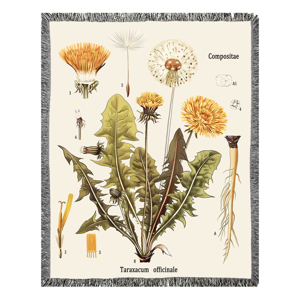 Plant Flowers Leaves Flannel Blanket Throw 10
