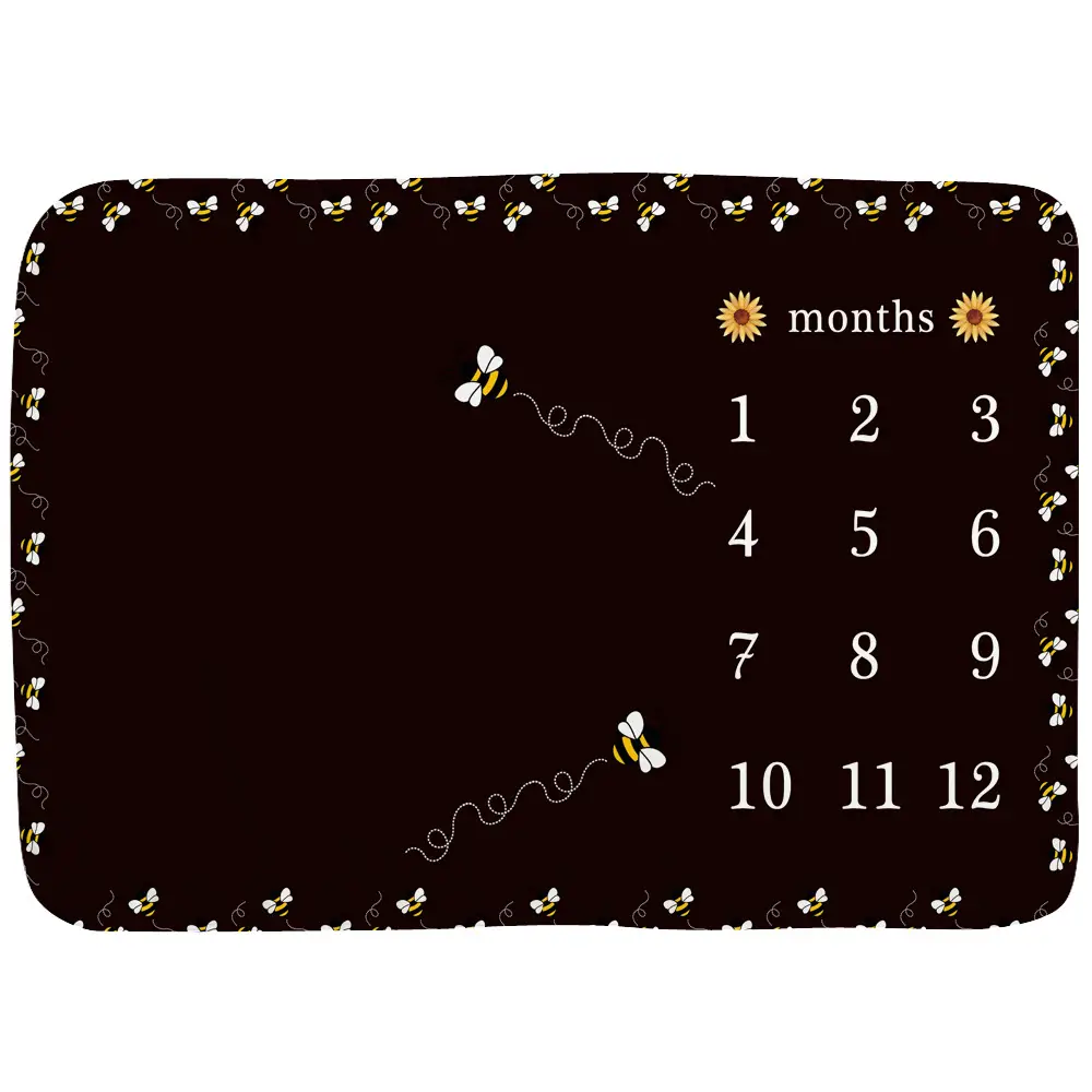 You Are My Sunshine Milestone Blanket 10