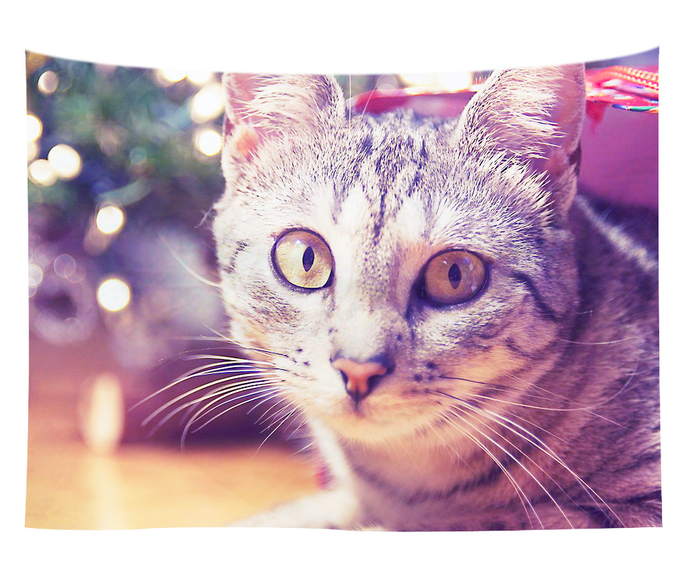 hanging wall tapestries wholesale 17 hanging wall tapestries wholesale 16