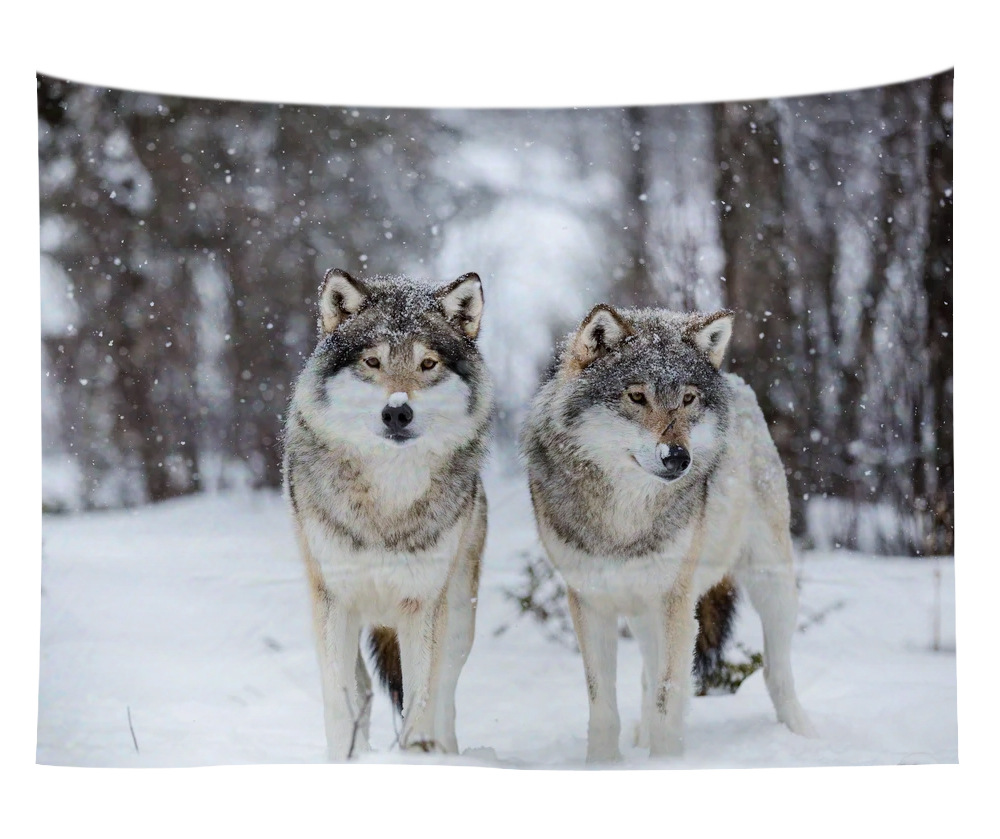 polyester wall art wholesale australia 24 wall art wholesale australia 23