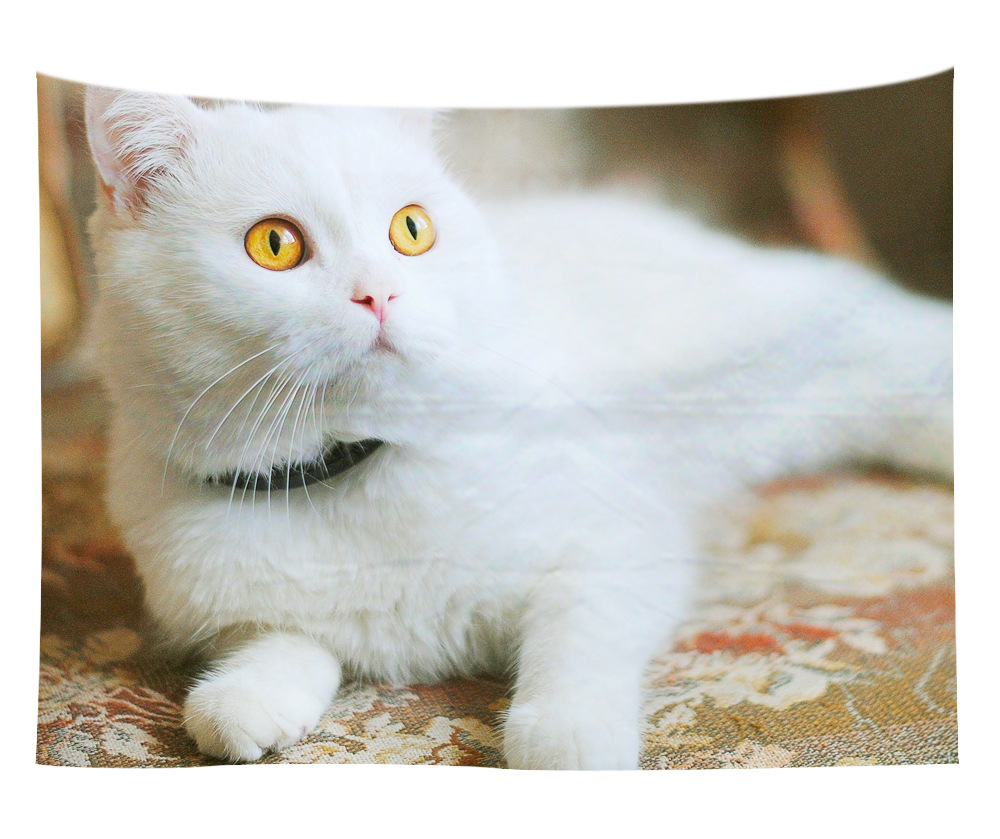 wall art wholesale canada 13