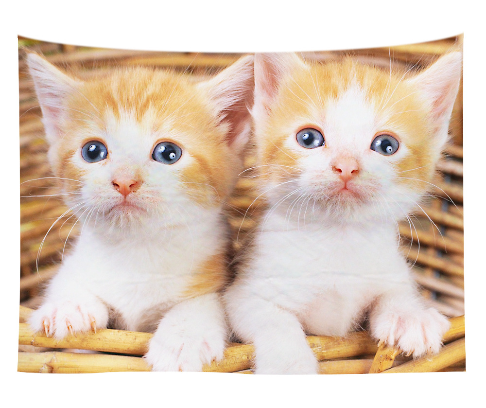 wall art wholesale canada 14