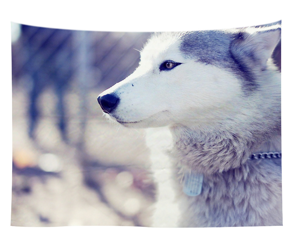 wall art wholesale canada 16