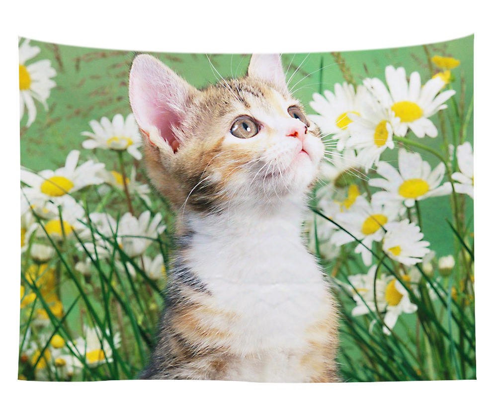 wall art wholesale canada 17