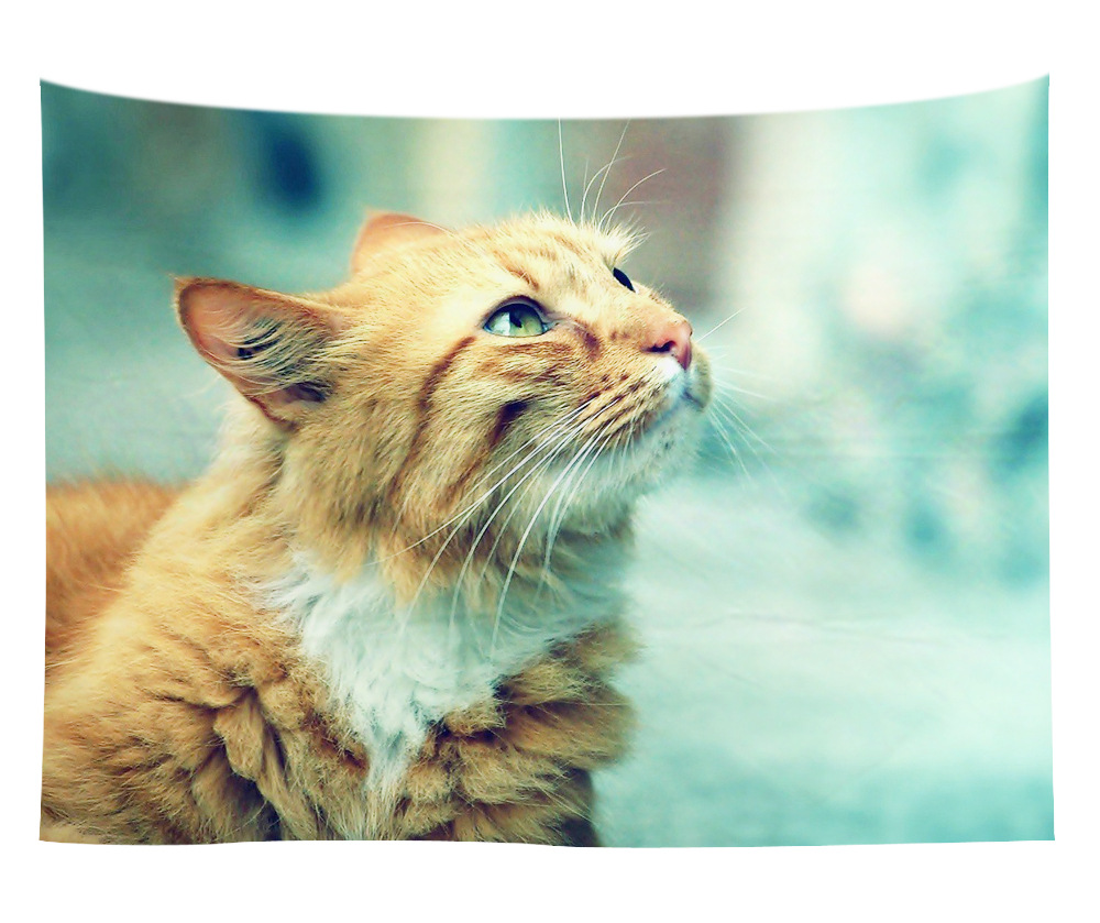 wall art wholesale canada 18