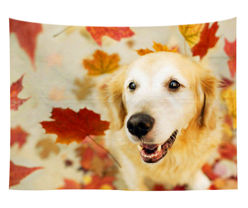 wall art wholesale canada 19