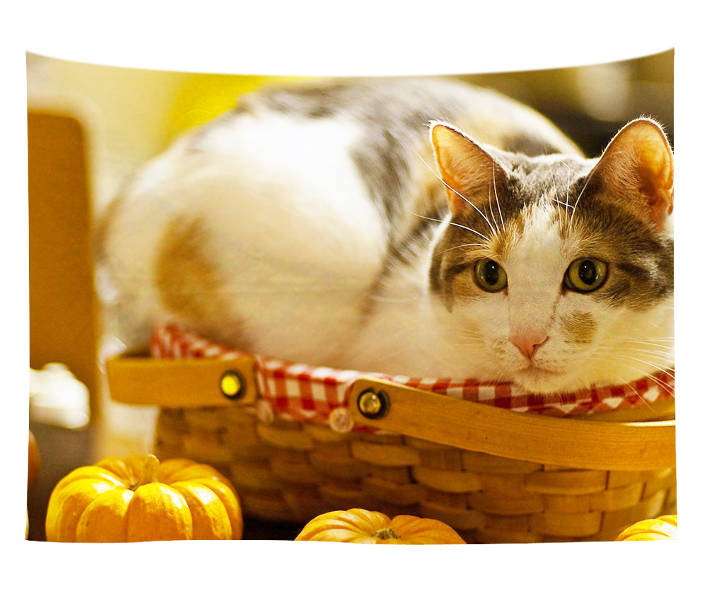 wall art wholesale canada 22