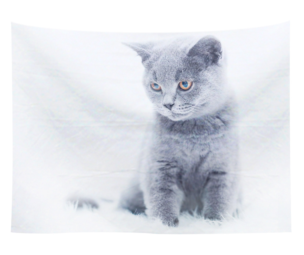 wall art wholesale canada 23