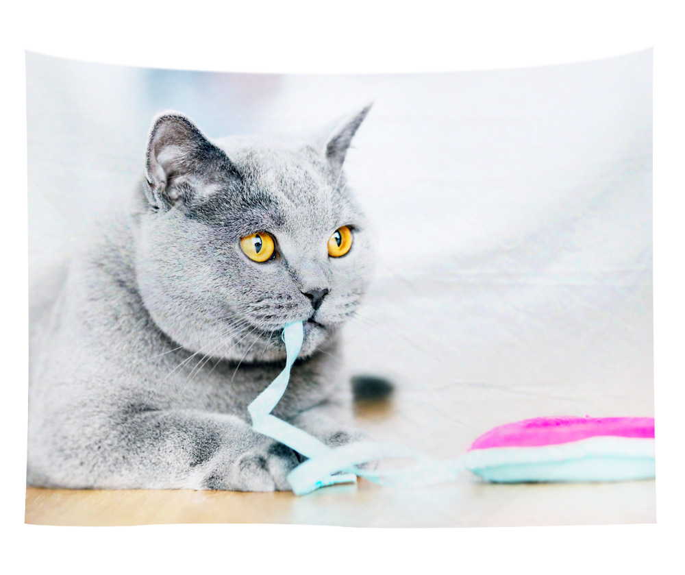 wall art wholesale canada 24