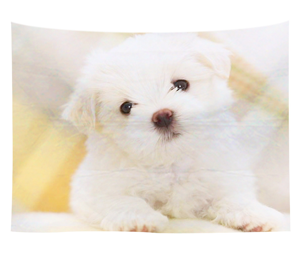 wall art wholesale canada 26