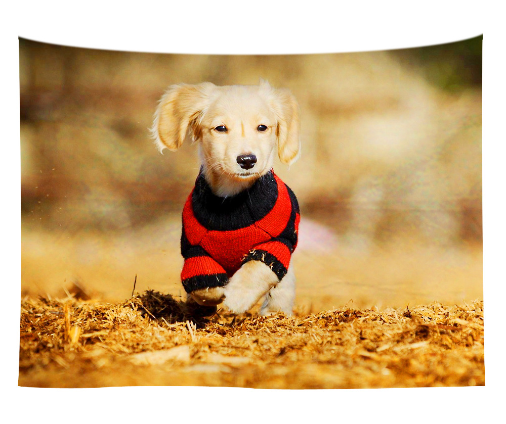 wall art wholesale canada 27