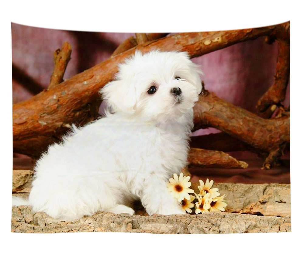 wall art wholesale canada 28