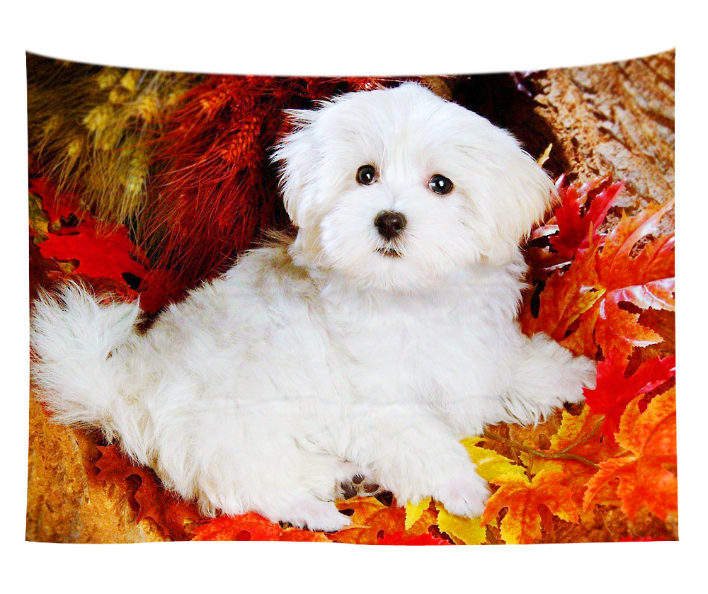 wall art wholesale canada 29