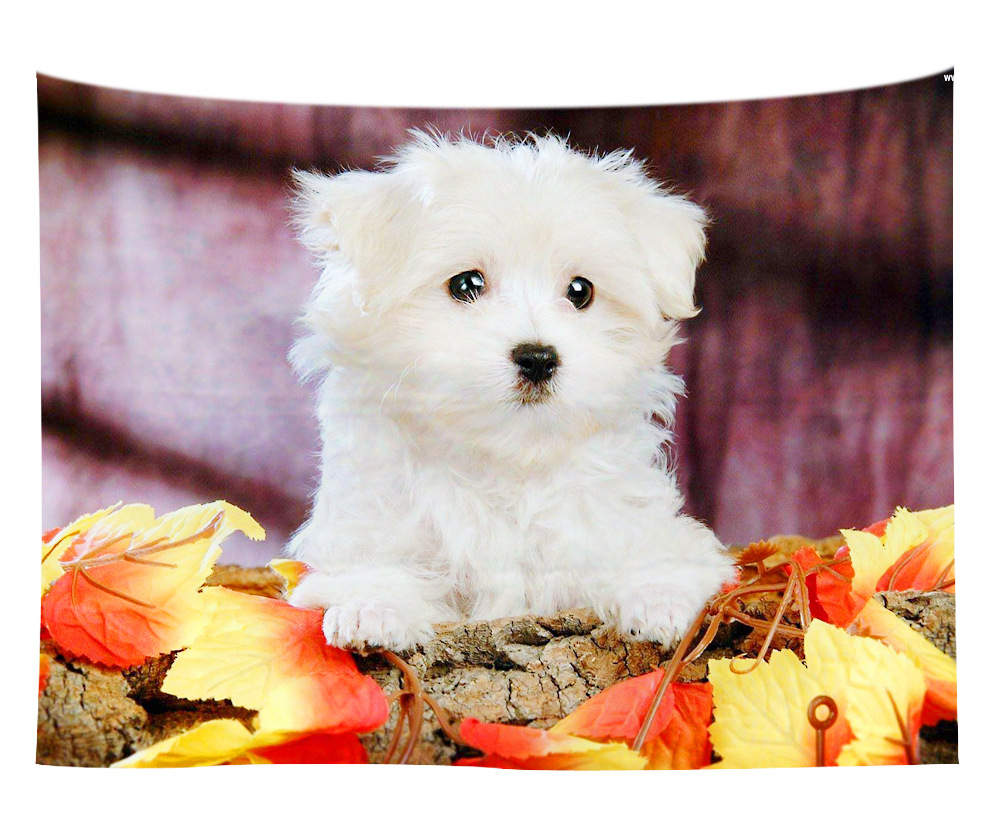 wall art wholesale canada 30