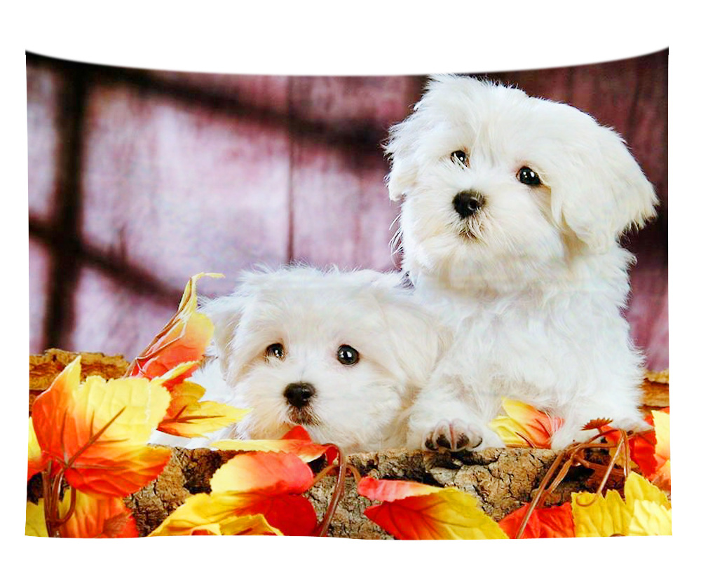 wall art wholesale canada 31