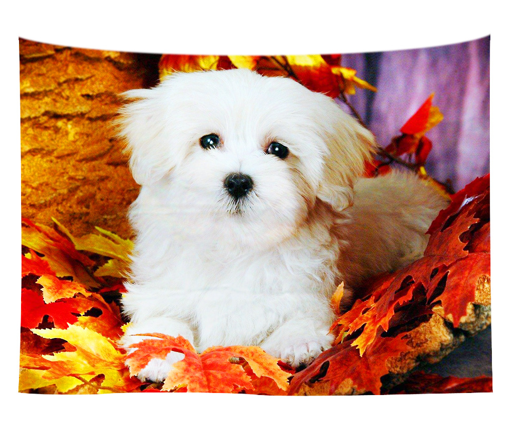 wall art wholesale canada 32