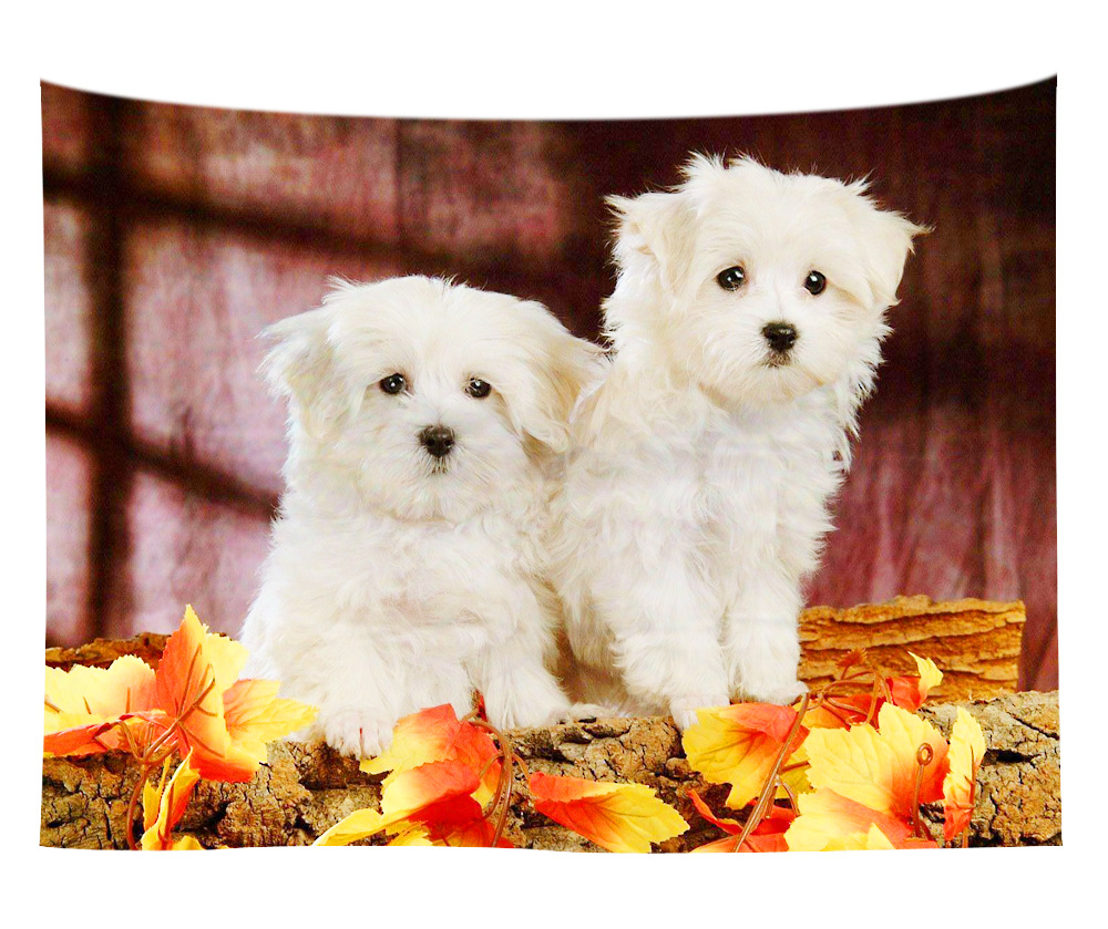 wall art wholesale canada 33