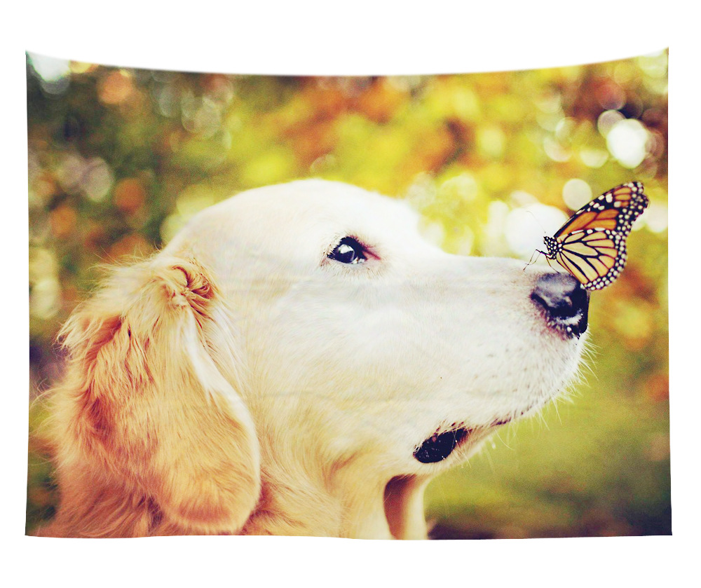 wall art wholesale canada 34