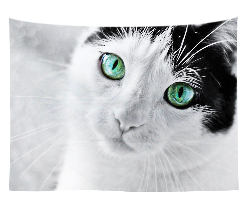 wall art wholesale canada 35