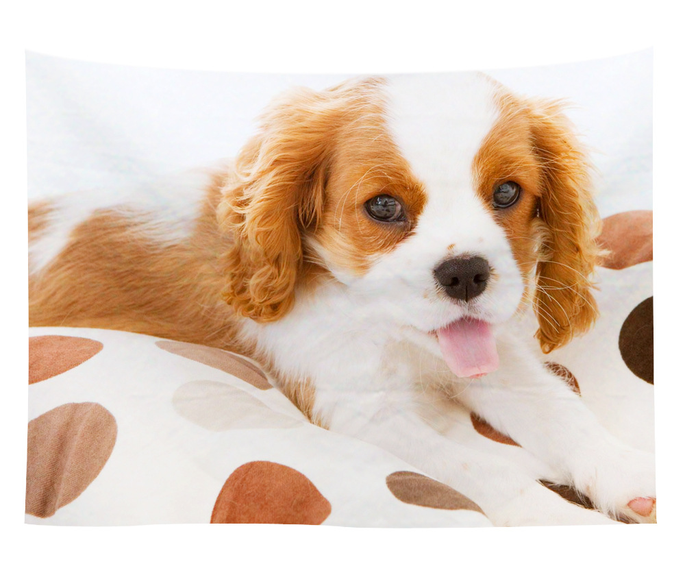 wall art wholesale canada 36