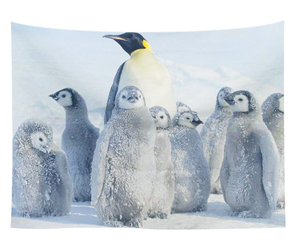 wall art wholesale canada 40