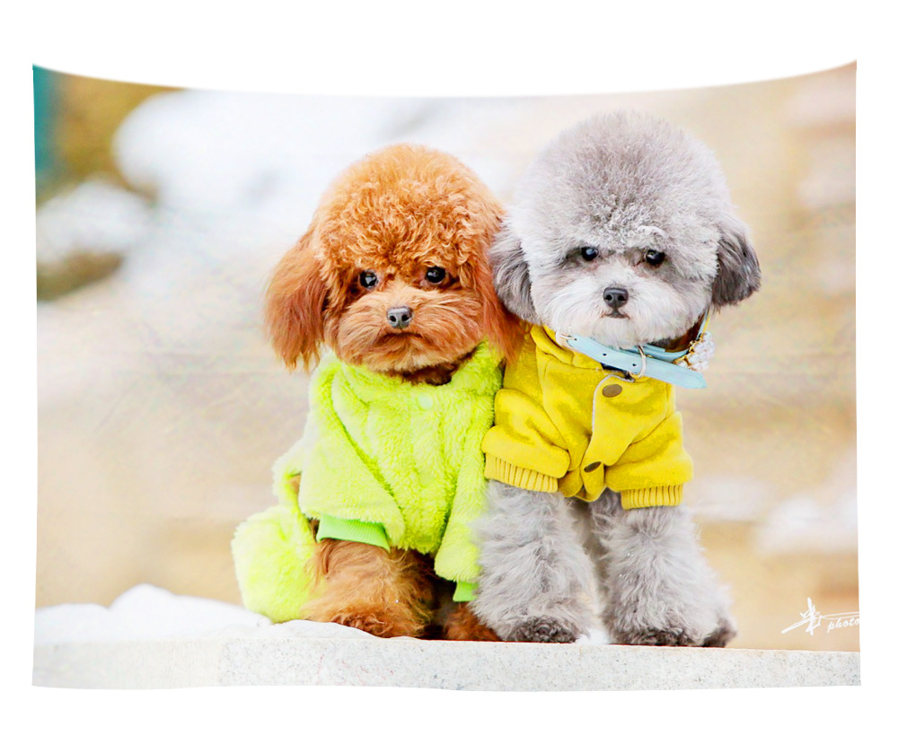 wall art wholesale canada 7