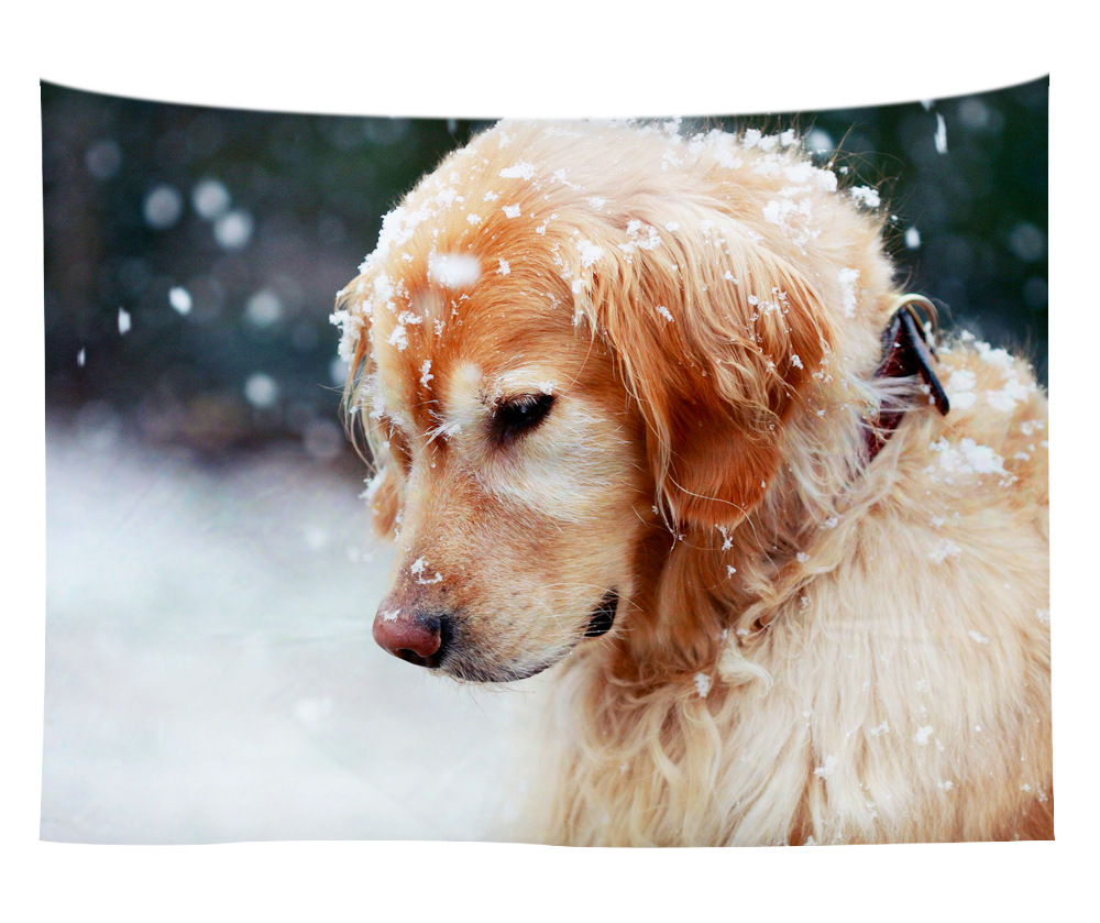 wall art wholesale canada 8