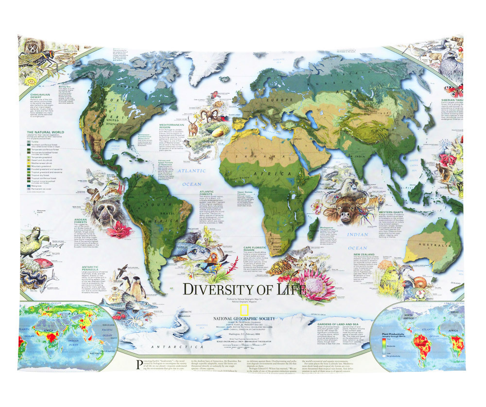 what is map tapestry wall art 19 what is tapestry wall art 17