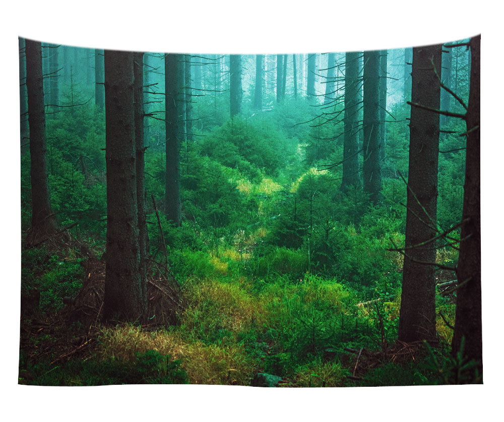 wholesale tapestry wall hangings 34