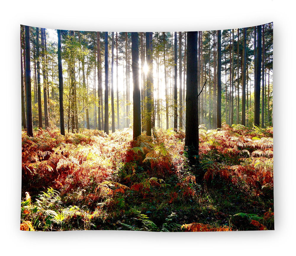 wholesale tapestry wall hangings 41