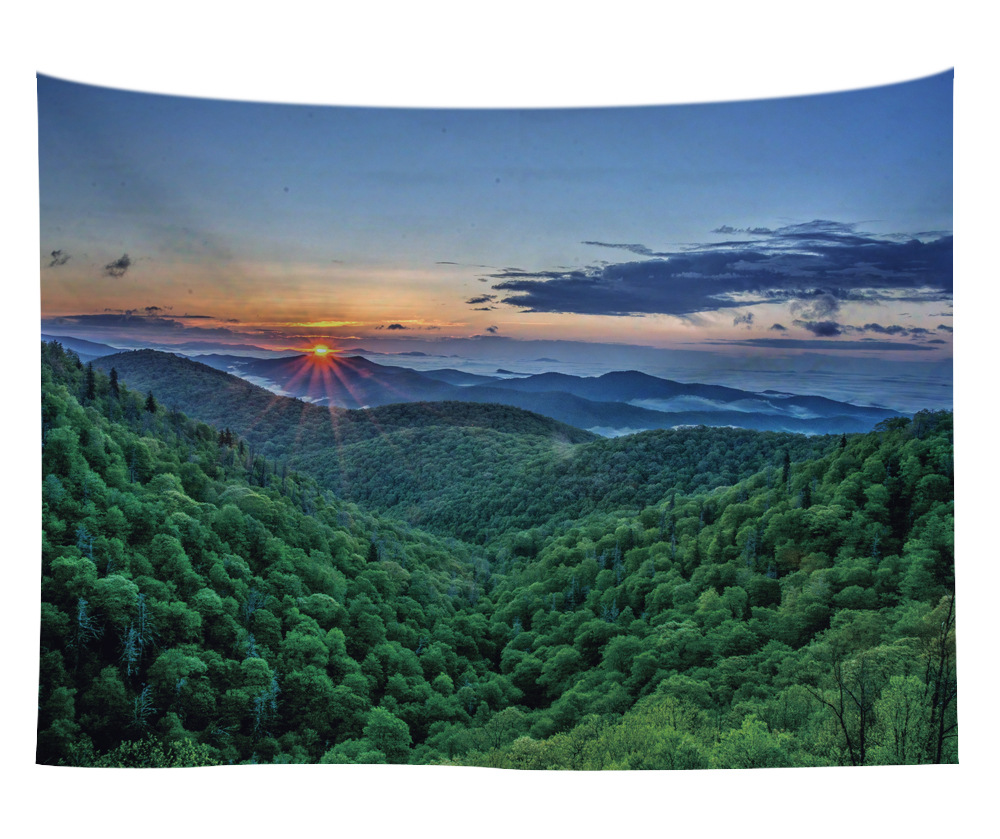 wholesale tapestry wall hangings 7